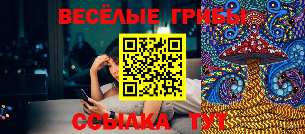 Курчатов  Галлюциногенные грибы ЛСД  Вход с VPN 